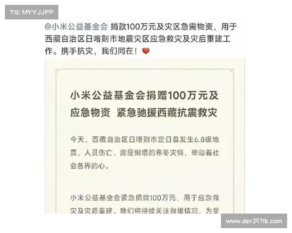 西藏地震救灾捐赠指南:如何确保您的捐款有效帮助受灾群众 西藏地震救灾捐赠指南:如何确保您的捐款有效帮助受灾群众